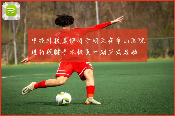 申花外援盖伊将于明天在华山医院进行跟腱手术恢复计划正式启动