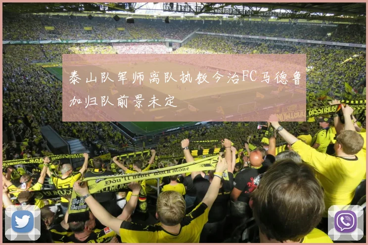 泰山队军师离队执教今治FC马德鲁加归队前景未定