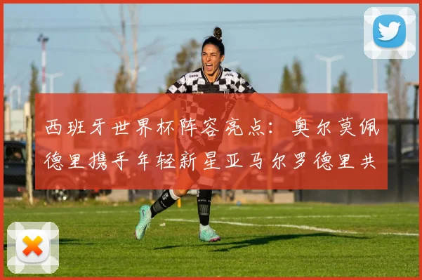 西班牙世界杯阵容亮点：奥尔莫佩德里携手年轻新星亚马尔罗德里共赴荣耀之战