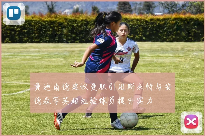 费迪南德建议曼联引进斯米特与安德森等英超经验球员提升实力