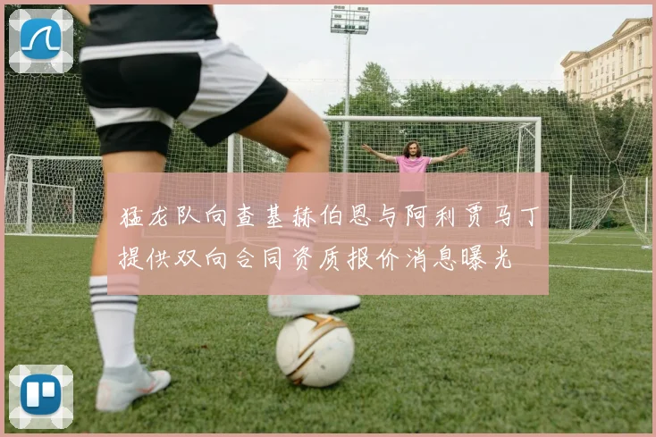 猛龙队向查基赫伯恩与阿利贾马丁提供双向合同资质报价消息曝光